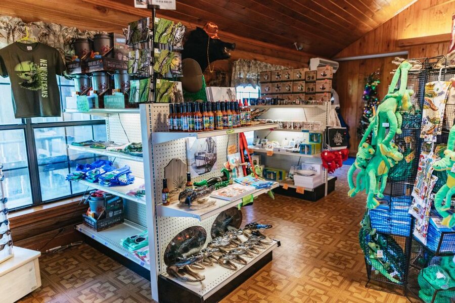 New Orleans: Guided Swamp Cruise by Tour Boat - Timing Tips: When You’re Most Likely to Spot Active Gators