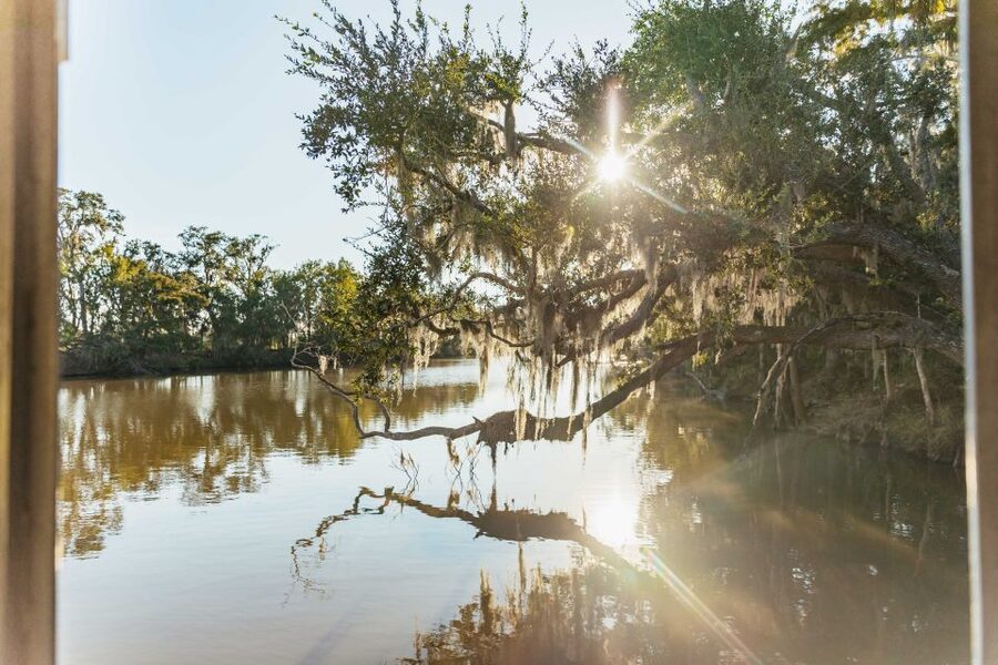 New Orleans: Guided Swamp Cruise by Tour Boat - Dock Location and the Coach Ride That Sets the Tone