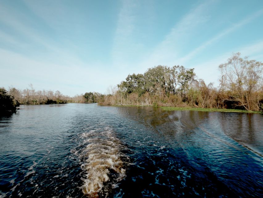 New Orleans: High Speed 16 Passenger Airboat Ride - Cajun Wetland Lessons You Actually Use