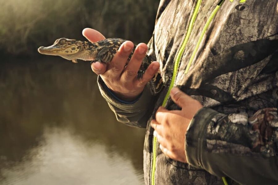 New Orleans: High Speed 16 Passenger Airboat Ride - Timing, Delays, and What to Pack for a Smooth Day