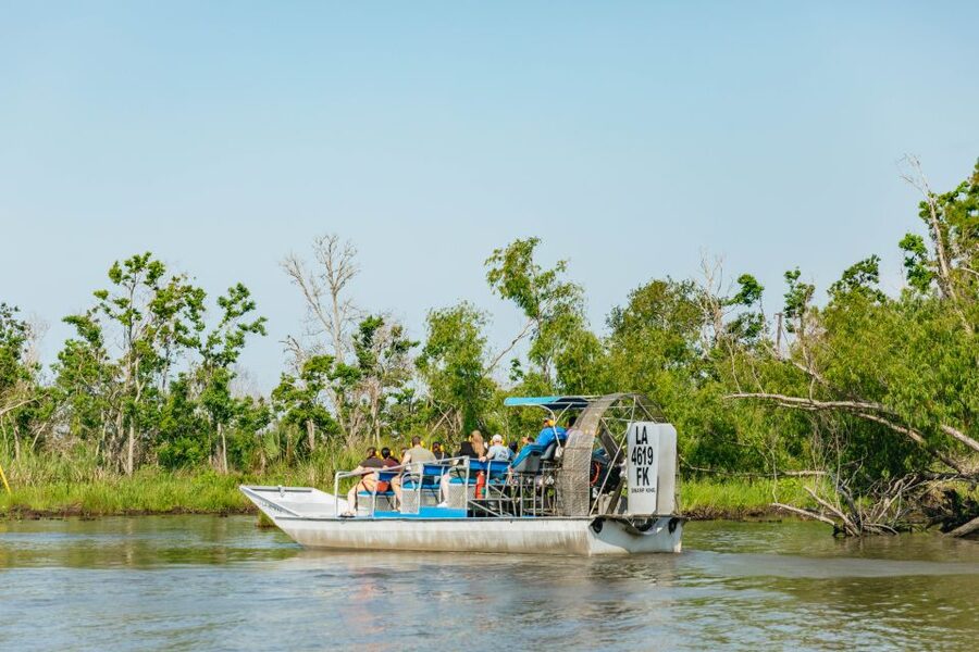 New Orleans: High Speed 9 Passenger Airboat Tour - Key highlights to watch for