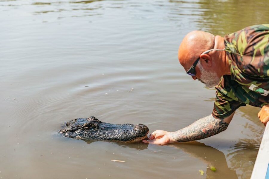 New Orleans: High Speed 9 Passenger Airboat Tour - Price at about $89 per person: value breakdown that makes sense