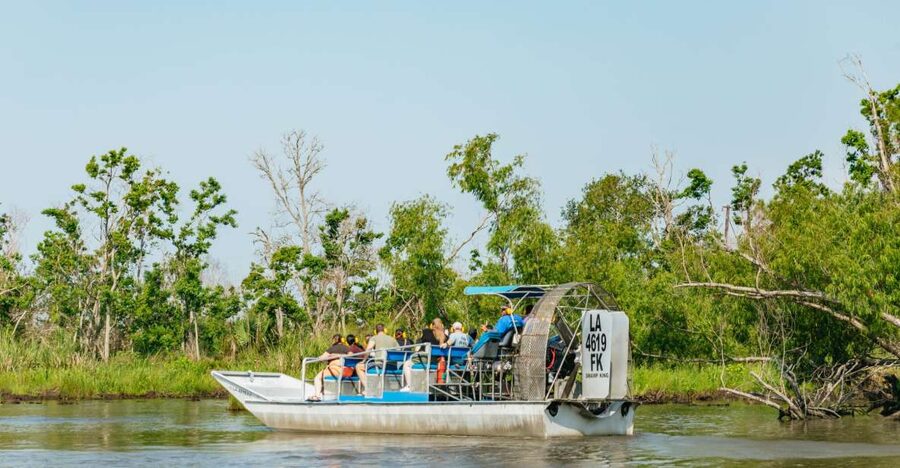 New Orleans: High Speed 9 Passenger Airboat Tour - Swamp speed with real Cajun context, not just a thrill ride