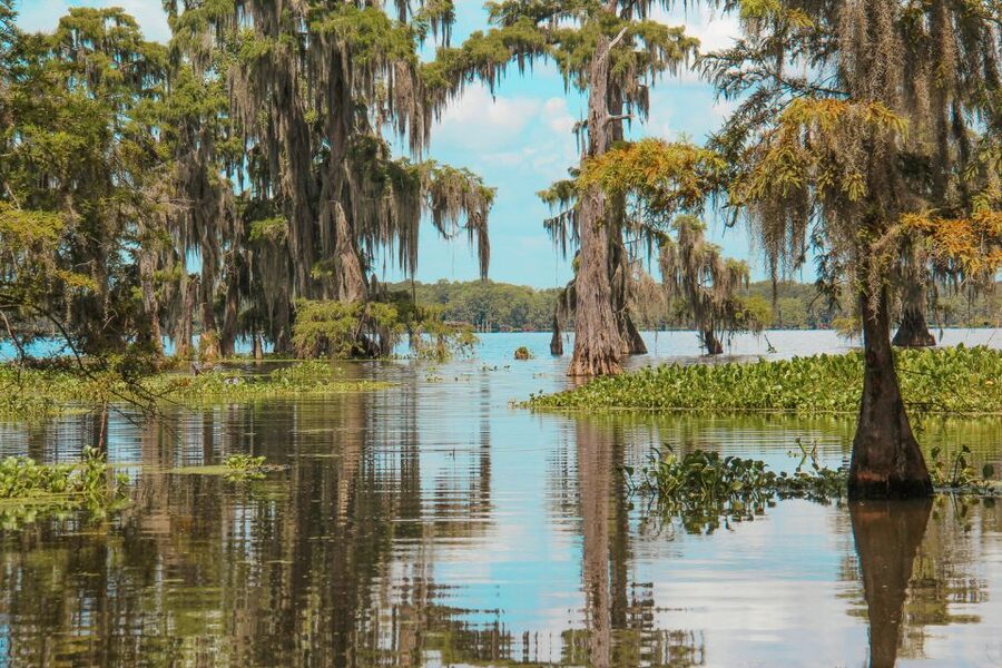 New Orleans: High Speed 9 Passenger Airboat Tour - The main event: 105 minutes on the airboat at up to 35 mph