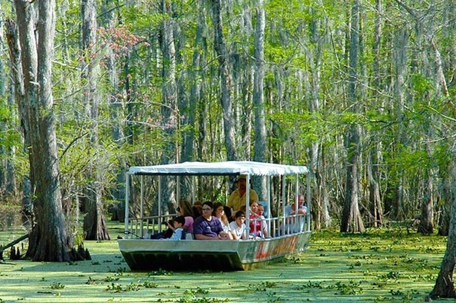 New Orleans: Honey Island Swamp and Bayou Boat Tour - Guides and Commentary: Funny, Focused, and Built for Real Questions