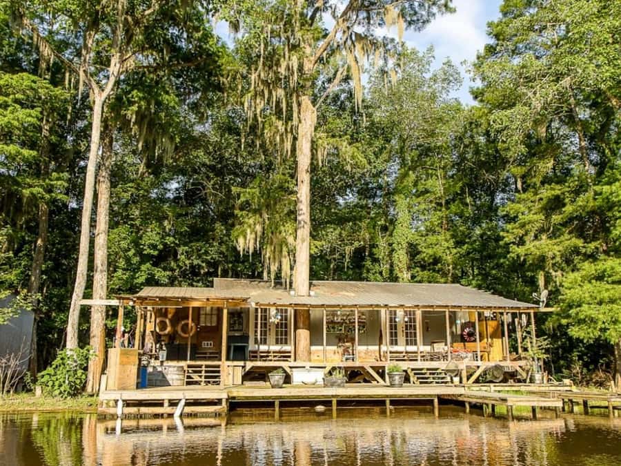 New Orleans: Honey Island Swamp Tour - Quick hits before you go