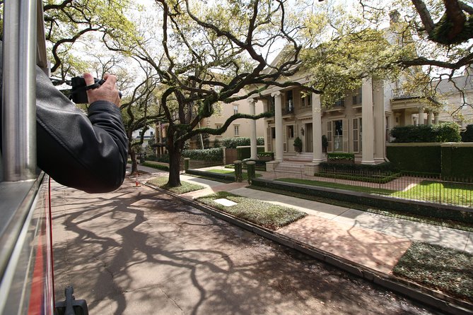 New Orleans Hop-On Hop-Off Unlimited Sightseeing Package - French Market and Royal Street Energy: A Short Trip With Big Payoff