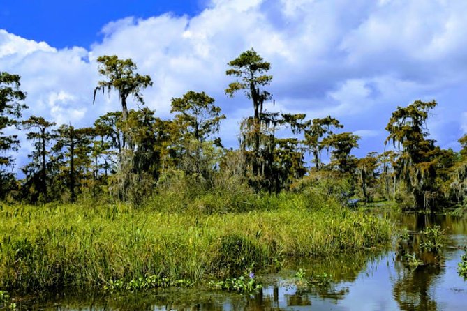 New Orleans Large Airboat Swamp Tour - Stadium-style seating that keeps your photos honest