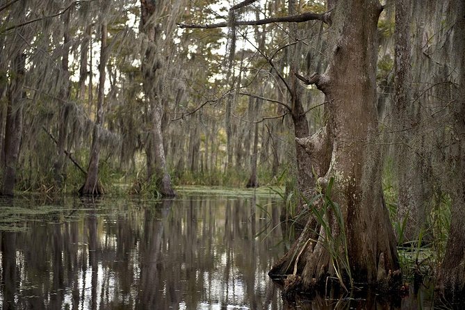New Orleans Large Airboat Swamp Tour - Getting there from New Orleans: the dock, rideshares, and timing