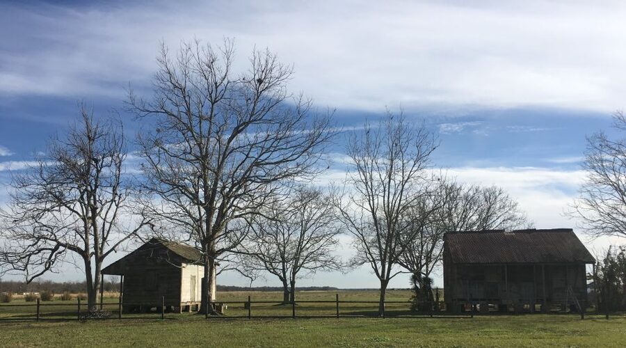 New Orleans: Laura Creole Plantation Guided Tour - Getting there from New Orleans: plan for time and traffic