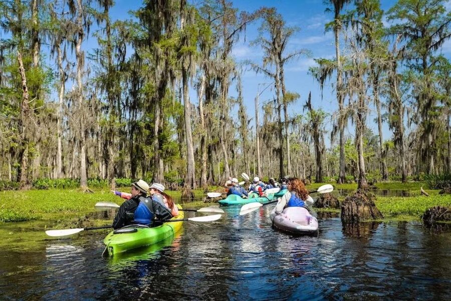 New Orleans: Manchac Magic Kayak Swamp Tour - Manchac Swamp in Two Hours, With Real Bayou Calm