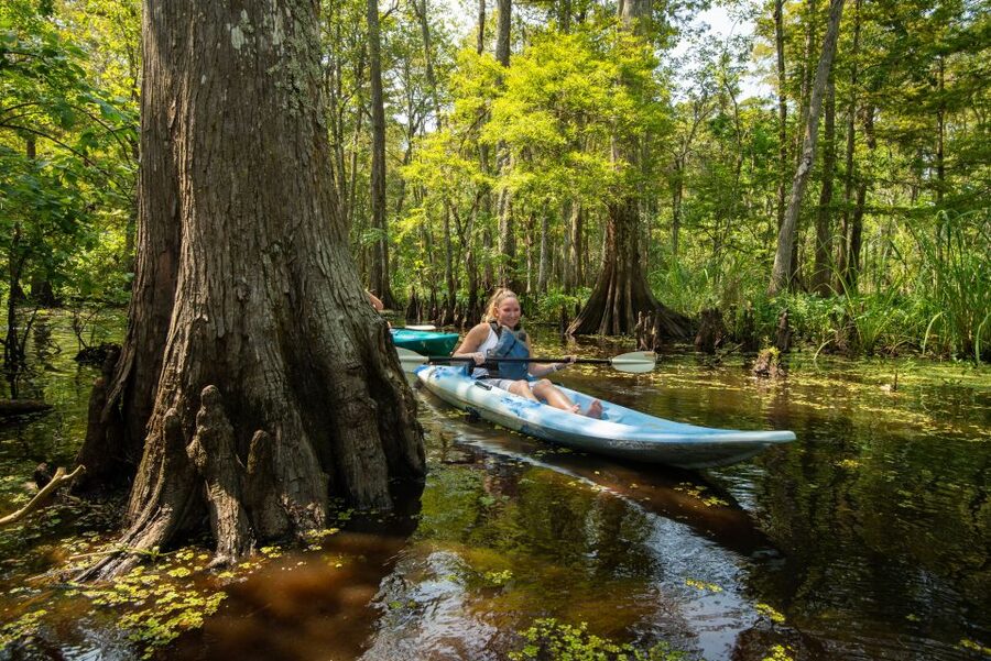 New Orleans: Manchac Magic Kayak Swamp Tour - Guides Who Make the Swamp Click: Al, Gerald, Joshua