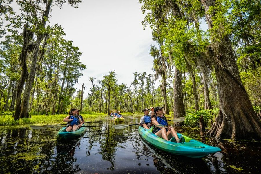 New Orleans: Manchac Magic Kayak Swamp Tour - What to Wear and Bring When the Bayou Wants Weather Control