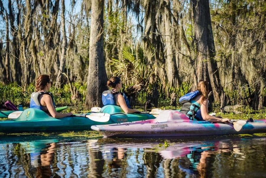 New Orleans: Manchac Magic Kayak Swamp Tour - Getting the Best Timing: Calm Water and Smarter Expectations