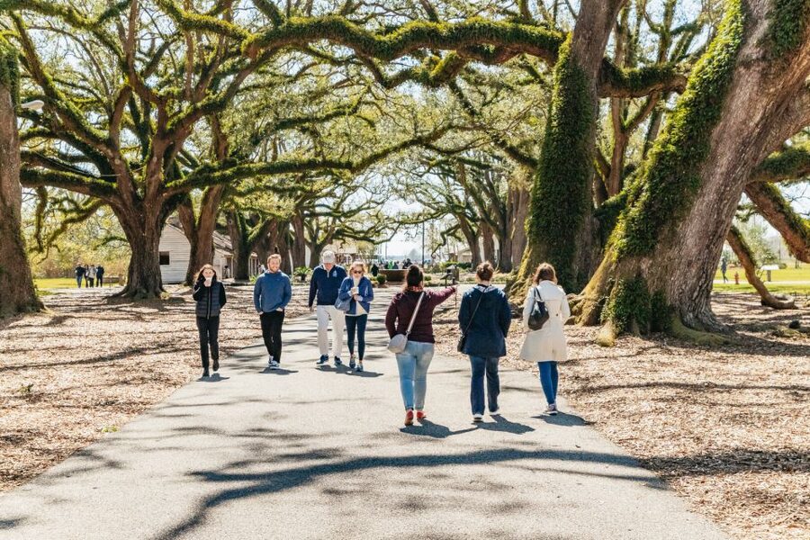 New Orleans: Oak Alley Plantation & Airboat Swamp Combo Tour - Food, shops, and how to avoid running out of time
