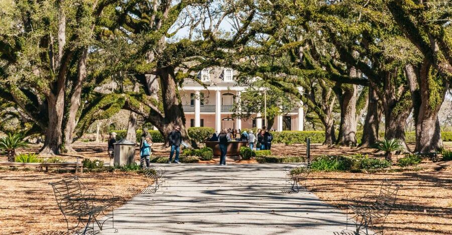 New Orleans: Oak Alley Plantation & Airboat Swamp Combo Tour - A long day trip that pairs Greek Revival beauty with bayou adrenaline