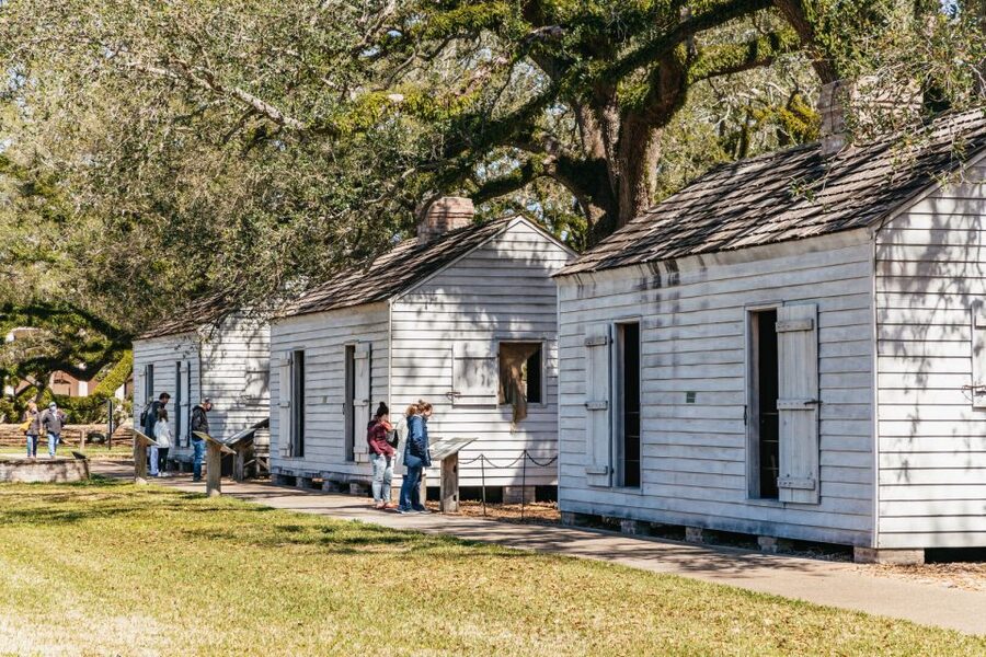 New Orleans: Oak Alley Plantation & Airboat Swamp Combo Tour - Switching gears: from oak avenue to wetlands on the Barataria Basin airboat