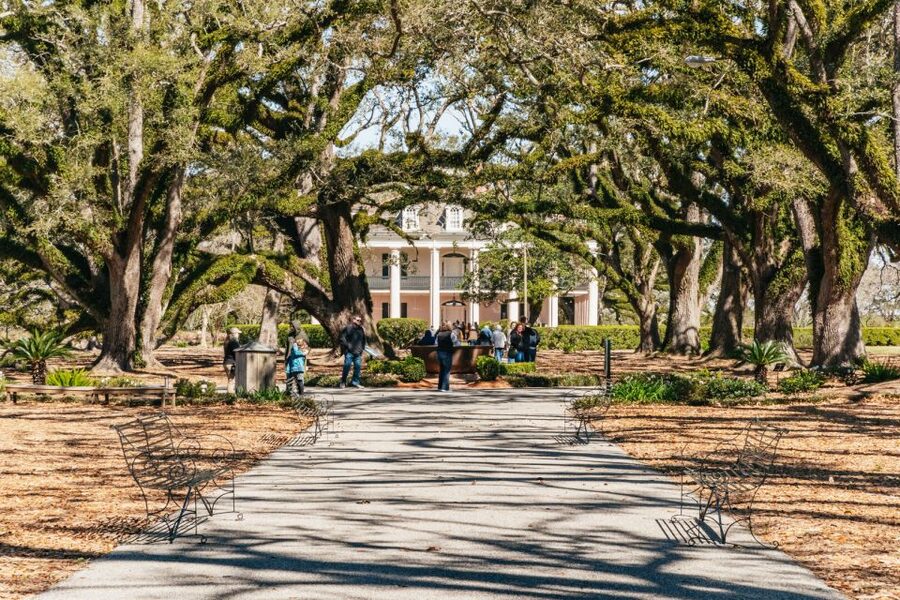 New Orleans: Oak Alley Plantation & Airboat Swamp Combo Tour - Hotel pickup, bus ride, and why timing really matters