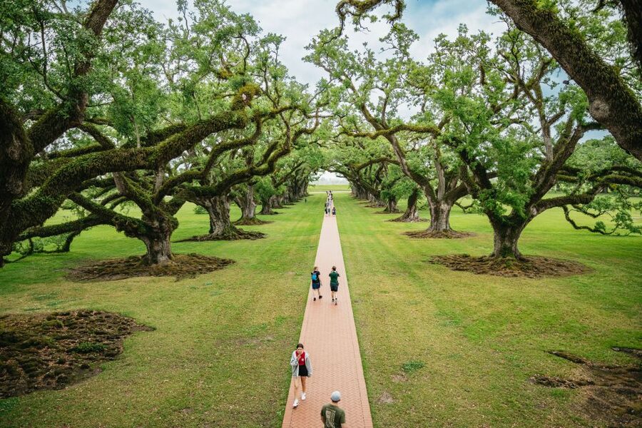 New Orleans: Oak Alley Plantation and Swamp Cruise Day Trip - Inside the Big House and the Plantation Grounds