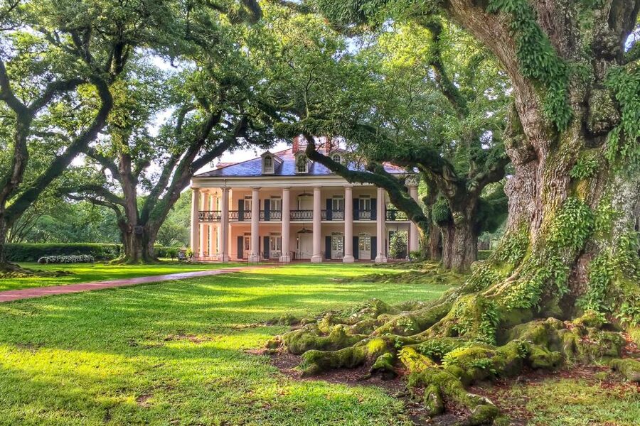 New Orleans: Oak Alley Plantation Tour with Transportation - The Allee of oaks walk: the 1/4 mile you should not rush