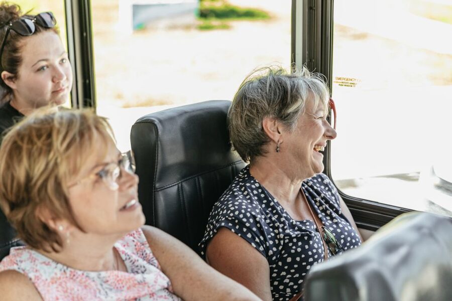 New Orleans: Sightseeing Bus Tour - City Park, Lake Pontchartrain, and a quick beignet moment