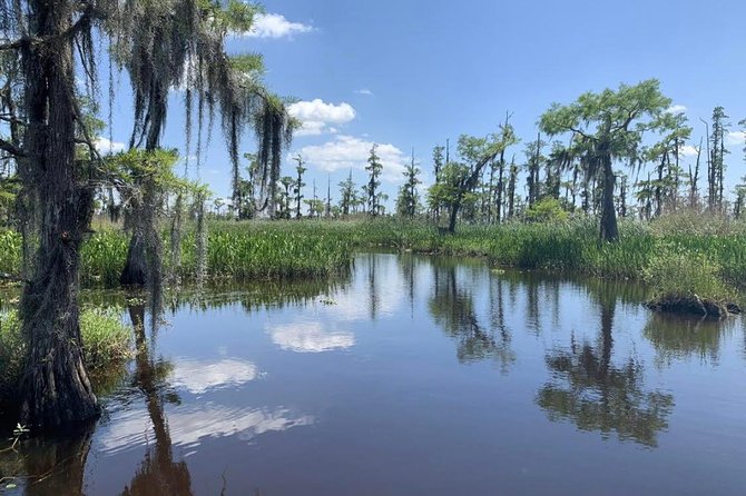 New Orleans Small-Group Airboat Swamp Tour - Speed bursts, photo pauses, and why the pace works
