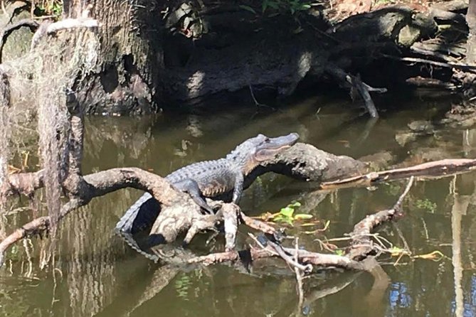 New Orleans Small-Group Airboat Swamp Tour - The human factor: the captains people remember