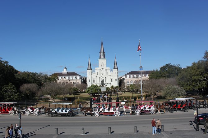New Orleans Small-Group City and Cemetery Tour with Hotel Pickup - Pickup, Van Comfort, and How the Small-Group Size Plays Out
