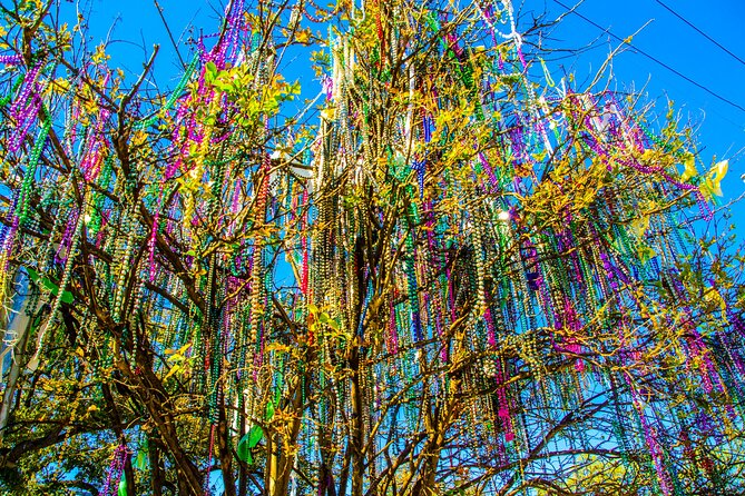 New Orleans Small-Group City Tour by Van - University streets, oak-lined boulevards, and Magazine Street energy