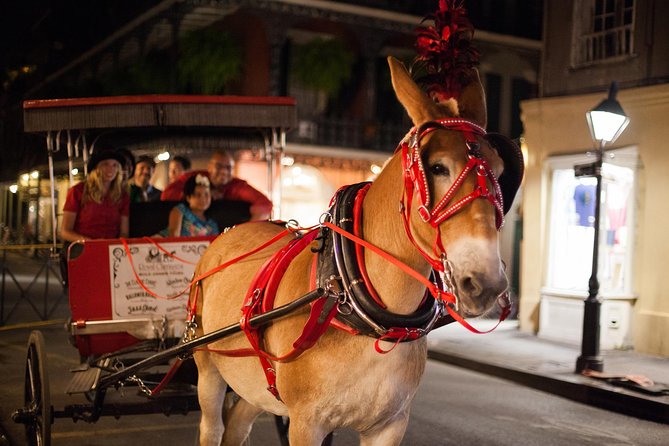 New Orleans Small-Group Haunted History Carriage Tour - The first blocks: Saint Louis Cathedral, Napoleon House, and major Quarter landmarks
