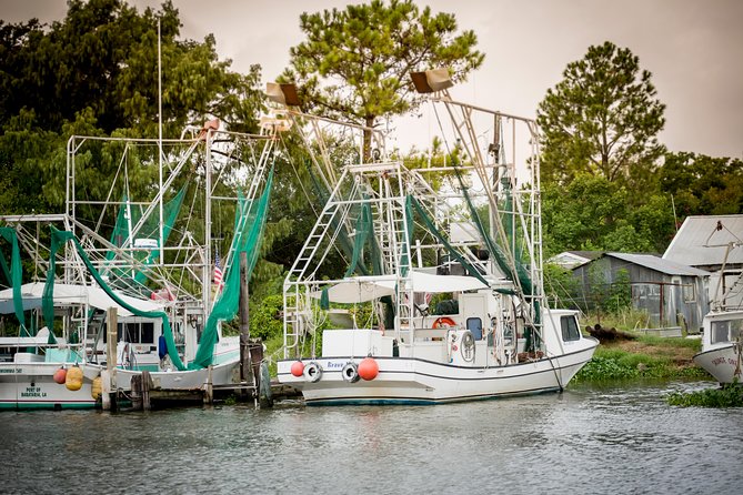 New Orleans Swamp and Bayou Alligator Tour - How to Dress, What to Pack, and How to Stay Comfortable