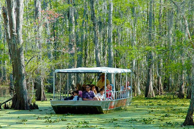 New Orleans Swamp and Bayou Boat Tour with Transportation - Weather matters more than you think