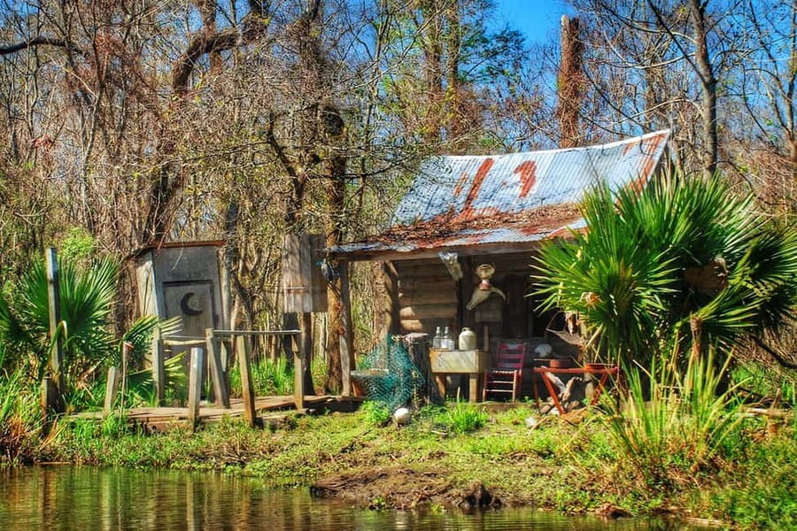 New Orleans: Swamp Boat Ride & Oak Alley Plantation Tour - Price and value: $131 for transport, admission, and a swamp cruise
