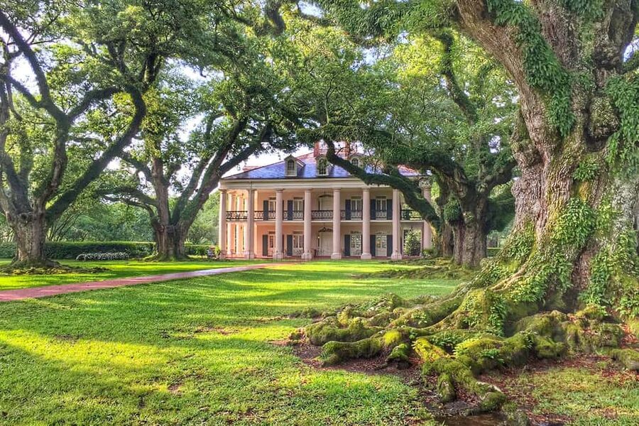 New Orleans: Swamp Boat Ride & Oak Alley Plantation Tour - Starting the day at the Steamboat Natchez dock