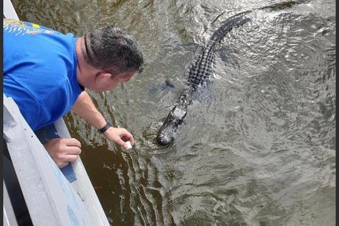 New Orleans Swamp Tour Boat Adventure - Cajun Cemetery, Indian Burial Ground, and the Fishing Village on the Water