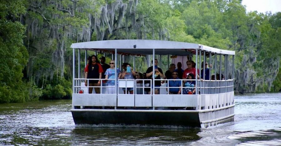 New Orleans: Swamp Tour on Covered Pontoon Boat - Covered Pontoon vs Airboat Noise, and Why That Matters