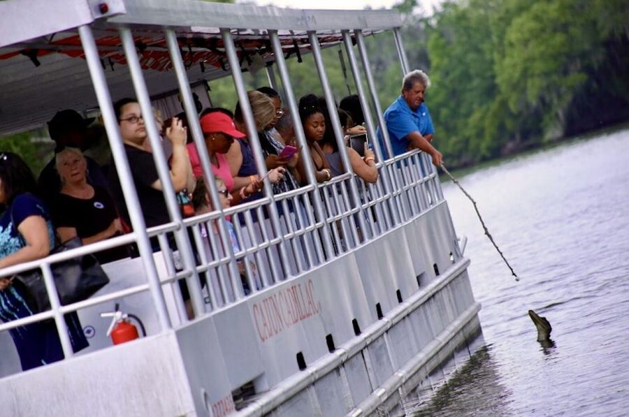 New Orleans: Swamp Tour on Covered Pontoon Boat - Comfort and Clothing: The Small Things That Make a Difference