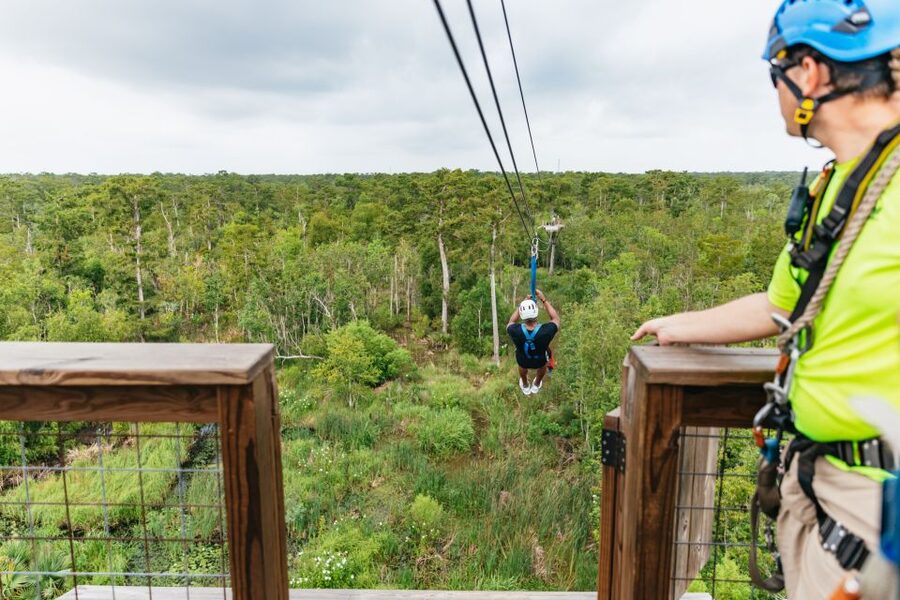 New Orleans: Swamp Zipline Tour - New Orleans Swamp Zipline: What Makes It Worth Leaving the City