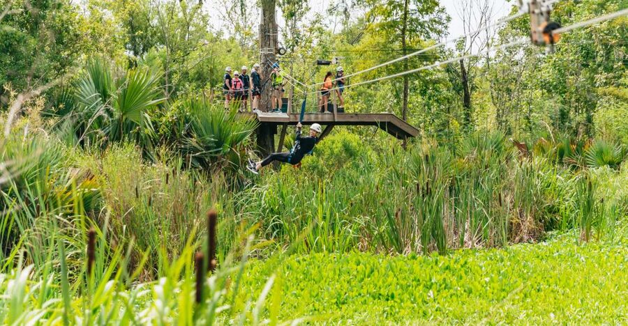 New Orleans: Swamp Zipline Tour - The Course Map in Your Head: 60-Foot Start, Five Lines, Two Bridges