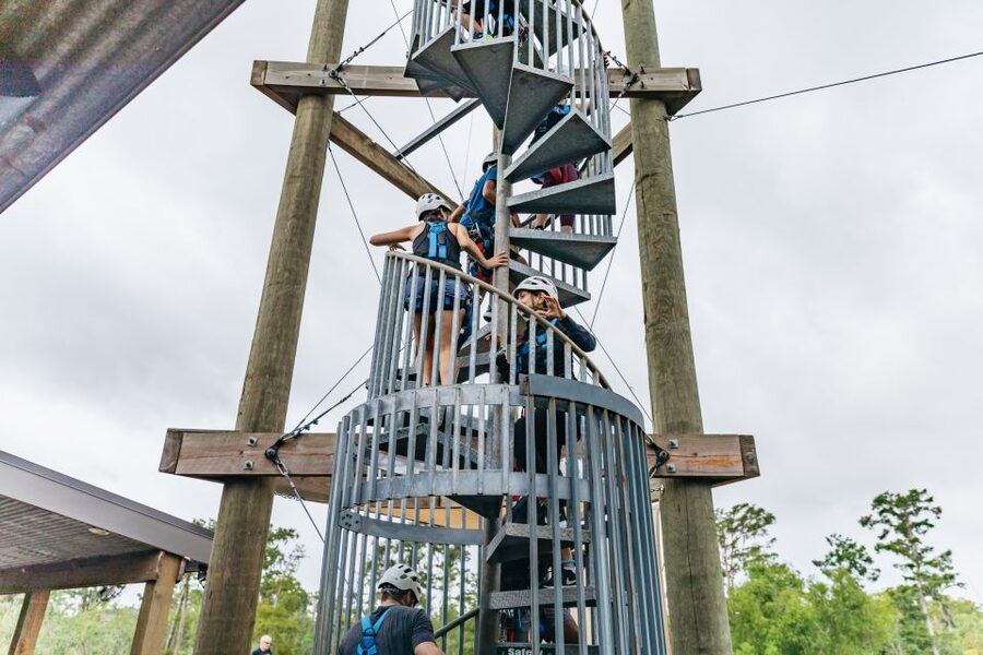 New Orleans: Swamp Zipline Tour - Seeing Wildlife From the Treetops: What You Might Spot