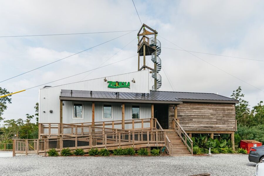 New Orleans: Swamp Zipline Tour - Price and Value: Is $89 a Good Deal?