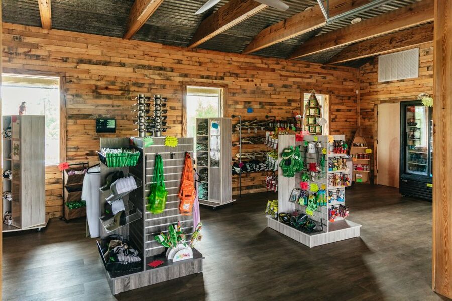 New Orleans: Swamp Zipline Tour - What to Bring, What to Wear, and Rules That Affect Your Day