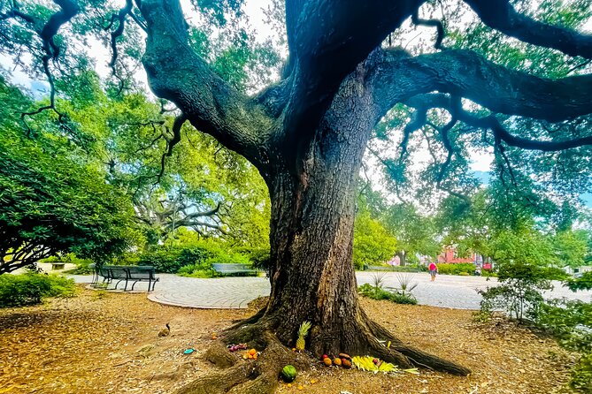 Nola Voodoo Walking Tour with High Priestess Guide in New Orleans - Who This Tour Is For (and Who Might Want a Different Option)