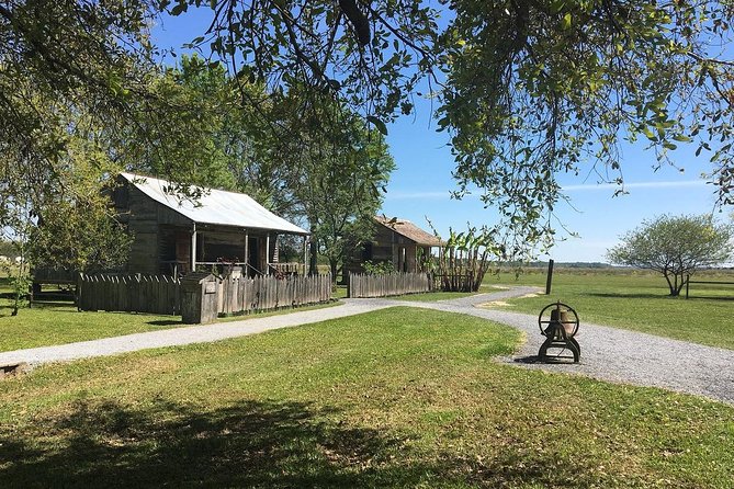 Oak Alley and Laura Plantation Tour with Transportation from New Orleans - What to Bring: Photos, Water, and Footwear