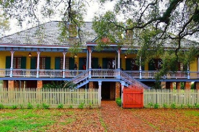 Oak Alley or Laura Plantation Tour from New Orleans - A Half-Day Plantation Visit That Actually Fits a New Orleans Day