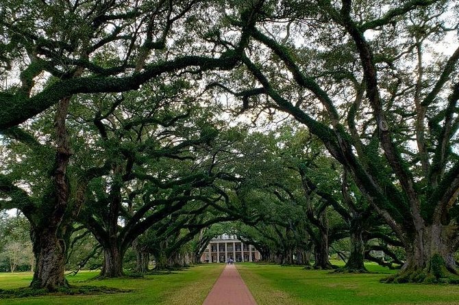Oak Alley or Laura Plantation Tour from New Orleans - Laura Plantation: Creole Heritage Framed With Enslaved Life