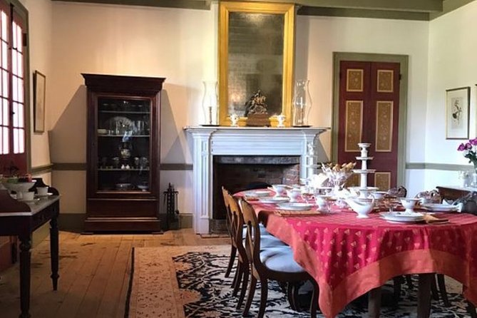 Oak Alley or Laura Plantation Tour from New Orleans - What the Guide Adds: More Than Facts, Better Framing