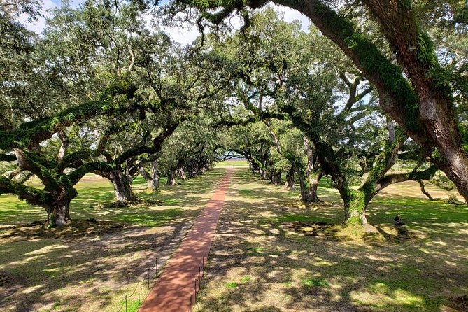 Oak Alley or Laura Plantation Tour from New Orleans - Value Check: Does $69 Make Sense?