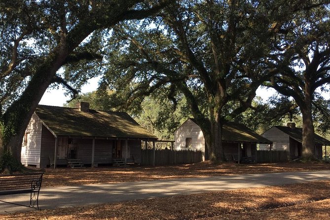 Oak Alley or Laura Plantation Tour from New Orleans - Who This Tour Suits Best