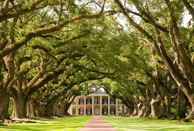 Oak Alley Plantation and Small Airboat Tour from New Orleans - Key highlights to know before you go